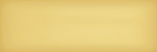 Iris Slide Caramel 10x30