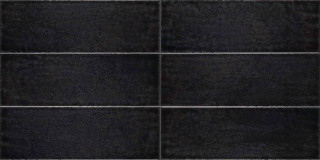 Iris Maiolica Nero 10x30