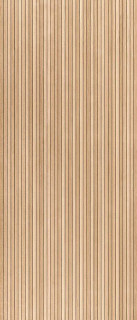 Kronos Essence Strip Light Matt 6mm 120x278