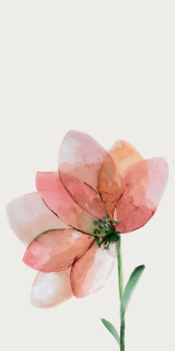 Kerlite Wanderwall Fleur D 3.5 mm 50х100