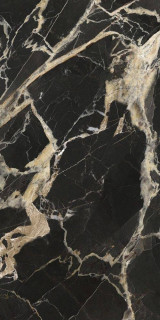 La Fabbrica Ava Black Gold Nat Ret 8.8mm 60x120