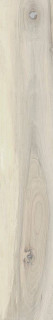La Fabbrica Ava Kauri Catlins Lap. Ret. 20x120
