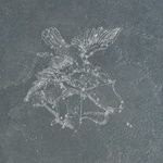 Aquila Fuligo 49х49