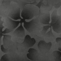 Grafite Floreale 60х60