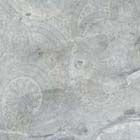 Frost Tasmania Lap. Rett. 46.5х46.5