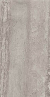 La Faenza Radika RDKA 12G RM 60х120