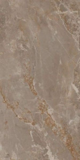La Fenice Genesis Taupe Rett 60x120