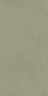 La Fenice Natural Resine Te 60x120H0.9