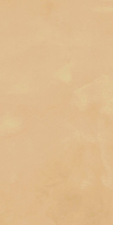 La Fenice Touch Evo Gold Rett 60x120