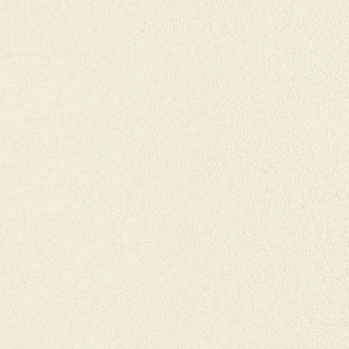 Laminam Collection Neve 5.6 mm 100x300