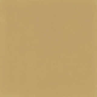 Marazzi D_Segni Colore Mustard 20x20