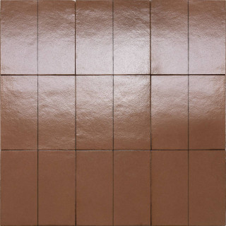 Marazzi Italy Terramater Cotto Lux 18.6x37.5