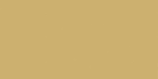 Marca Corona Bold Mustard 40х80