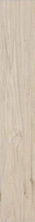 Mirage Koru Apple KO 01 Nat SQ 20x120