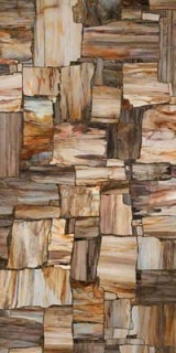 Mirage Privilege Petrified 120x240