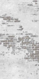 Mirage Privilege Murales 120x240