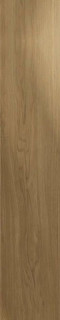 Monocibec Ashley Nature 30x120