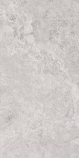 Monocibec Mythology Regia Silver Nat Rect 60x120