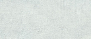 Naxos Inside Vetiver 26x60.5
