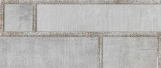Naxos Lumiere Industrial Platinum 26x60,5
