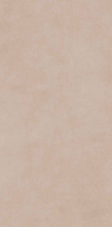 Naxos Mind Color Hazelnut Brushed Rect 60x120H0.7