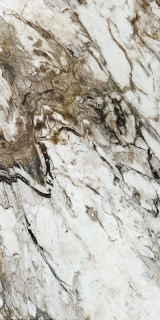 Naxos Rhapsody Fantasy Lev Ret 120X260