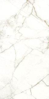 Naxos Rhapsody Emotion Lev Ret 60x120