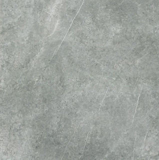 IMP 20RT GRIGIO IMPERIALE SILK 60x60