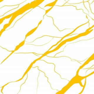 Ornamenta Artwork Marble Yellow 60x60