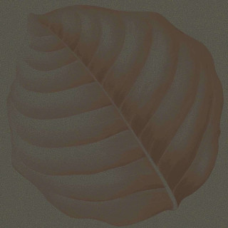 Ornamenta Botanica Lymph Erbolario 30x30