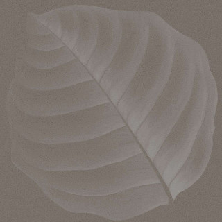 Ornamenta Botanica Lymph Fango 30x30