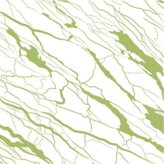 Ornamenta Artwork Marble Green 60x60