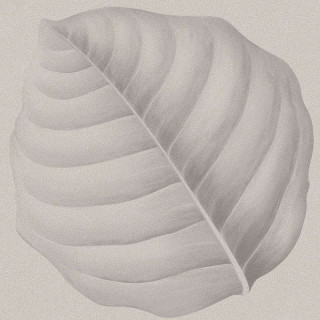 Ornamenta Botanica Lymph Calce 30x30
