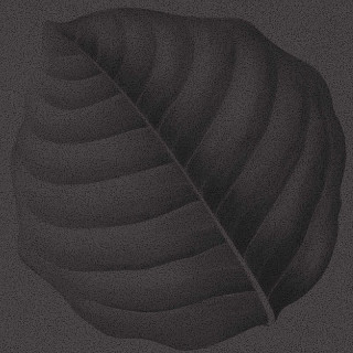 Ornamenta Botanica Lymph Lava 30x30