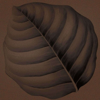 Ornamenta Botanica Lymph Terracotta 30x30