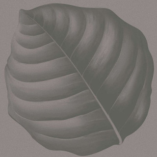 Ornamenta Botanica Lymph Cemento 30x30