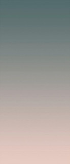 Ornamenta Operae Gradient Blush 120x278