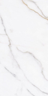 Ornamenta Metafisico Polished 60x120