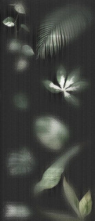 Ornamenta Operae Cloudy Black 120x278