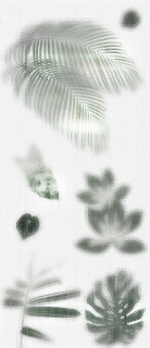 Ornamenta Operae Cloudy White 120x278