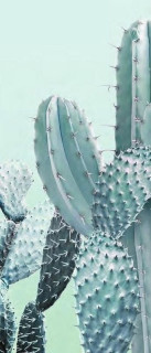 Ornamenta Operae Cacti Green 120x278