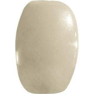 Petracers 800 Italiano Angolo Matita Bianco 2,5х2