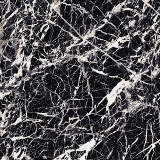 Valentino Majestic Glam Black Lev Ret 60x60