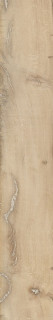 Provenza Alter Miele 20x120