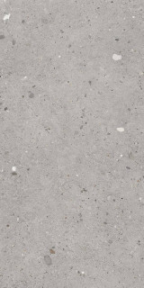Provenza Ego Grigio 60x120