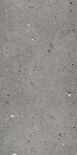 Provenza Ego Grigio Scuro 60x120