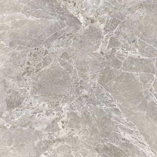 Provenza Unique Marble Moon Grey Lapp 120x120