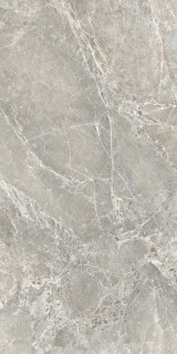 Provenza Unique Marble Moon Grey Silktech 60x120