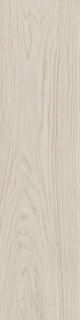 Ragno Escape Avorio 12,5x50