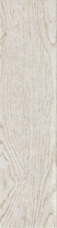 Ragno Eko Esterno Bianco R1WV 12.5х50